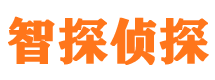 石景山市私家侦探